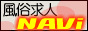 �������l�T�C�g �������lNAVi